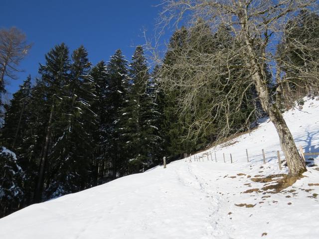 beim Änderenbach biegen wir in den Wald hinein