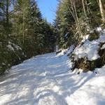 ein kurzes Stück geht es danach über eine verschneite Waldstrasse...