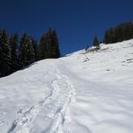 der Schneeschuhpfad (nicht ausgesteckt) führt uns nun hinauf nach Halsegg