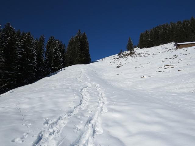 der Schneeschuhpfad (nicht ausgesteckt) führt uns nun hinauf nach Halsegg