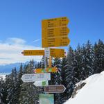 Wegweiser auf der Halsegg 1320 m.ü.M.