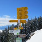 Wegweiser auf der Halsegg 1320 m.ü.M.