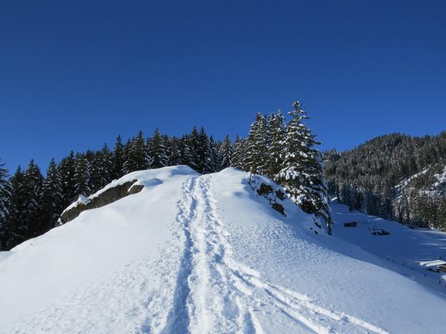 der Weg führt uns nun zuerst am Grat entlang...