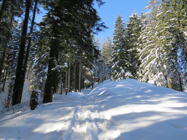 auf dem Weg nach Hinter Gwandelen