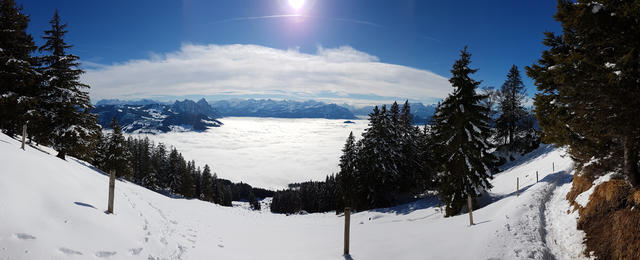 schönes Breitbildfoto aufgenommen auf der Gwandelenflue