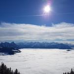unter der Nebeldecke liegt Schwyz und Brunnen