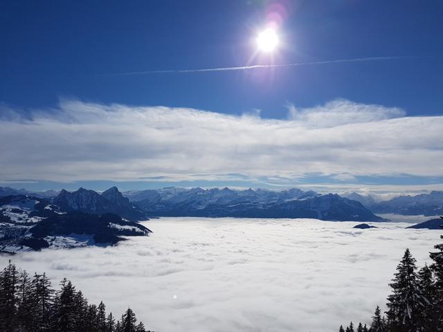 unter der Nebeldecke liegt Schwyz und Brunnen