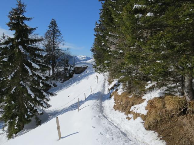 der Weg führt uns nun rechts aufwärts Richtung Langmatt