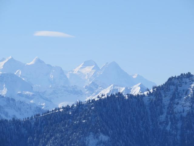 Wahnsinnig! man sieht sogar die Eigernordwand und der Mönch