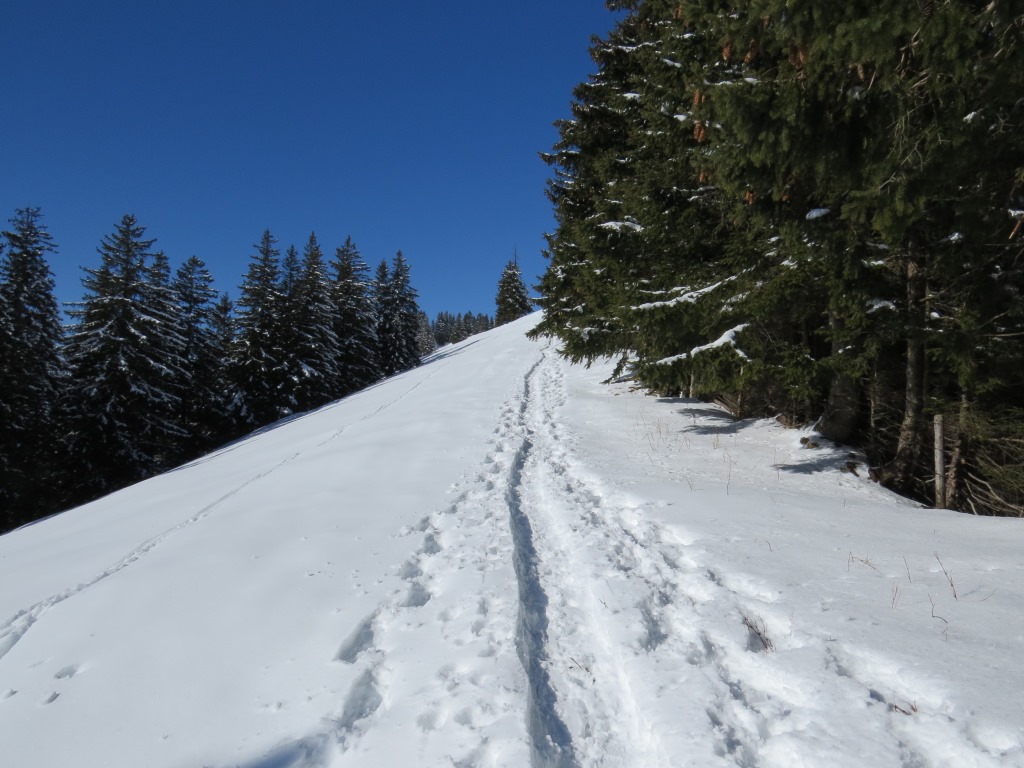 traumhaftes Schneeschuhtour Gelände führt uns vorbei an Punkt 1467 m.ü.M., weiter stetig aufwärts