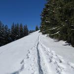 traumhaftes Schneeschuhtour Gelände führt uns vorbei an Punkt 1467 m.ü.M., weiter stetig aufwärts