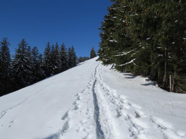 traumhaftes Schneeschuhtour Gelände führt uns vorbei an Punkt 1467 m.ü.M., weiter stetig aufwärts