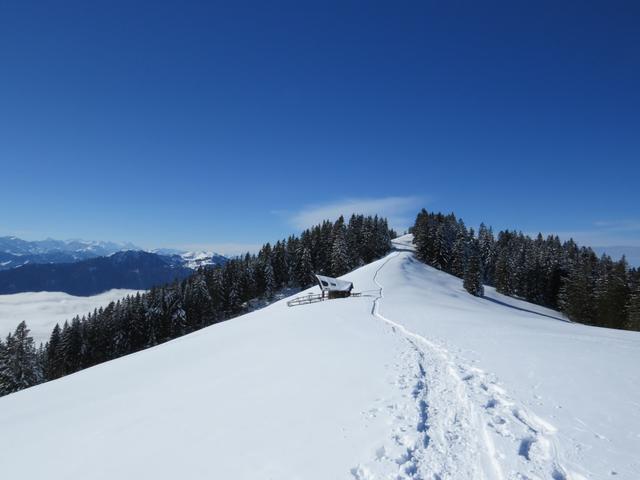 wir erreichen den sehr schön gelegenen, gedeckten Rastplatz mit Feuerstelle Gruebi 1544 m.ü.M. auf der Langmatt