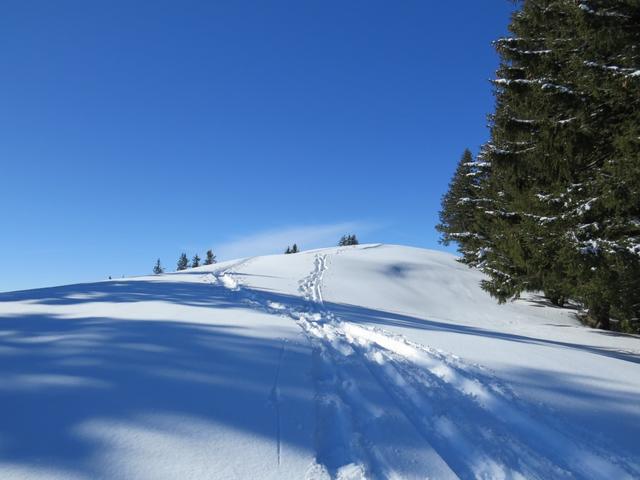 alles am breiten Grat entlang geht es nun Richtung Wildspitz