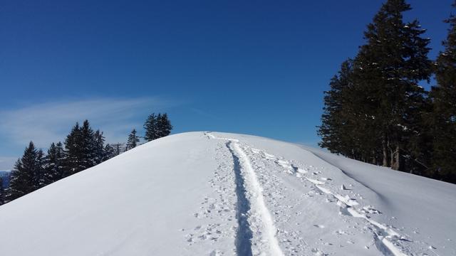 bei Punkt 1570 m.ü.M.