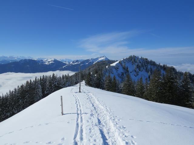 einfach traumhaft schön diese Schneeschuhtour auf den Wildspitz