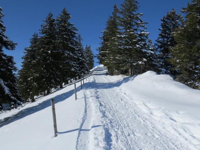 kurz vor dem Wildspitz