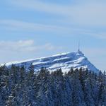 mit Blick auf die Rigi...