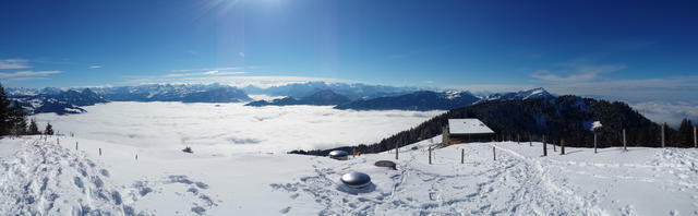 sehr schönes Breitbildfoto mit Blick in die Alpen