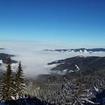 sehr schönes Breitbildfoto mit Blick ins Mittelland