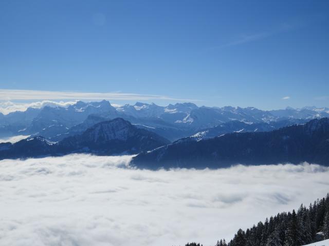 Blick zum Krönten, Blackenstock, Uri Rotstock, Engelberger Rotstock und Schwalmis