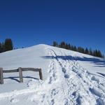 Blick hinauf zu Punkt 1570 m.ü.M. einfach super schön diese Schneeschuhtour