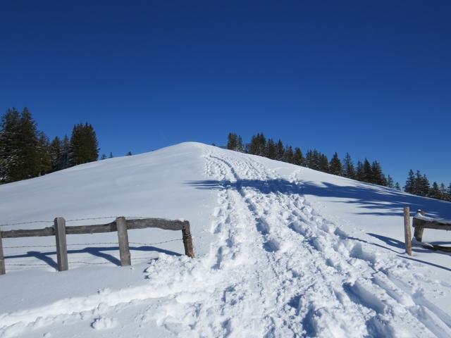 Blick hinauf zu Punkt 1570 m.ü.M. einfach super schön diese Schneeschuhtour