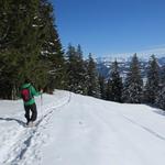 kurz vor der Weggabelung Punkt 1467 m.ü.M.