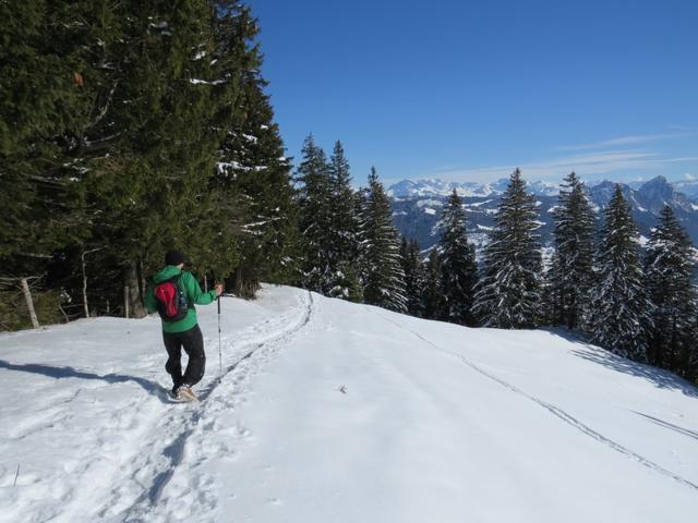 kurz vor der Weggabelung Punkt 1467 m.ü.M.