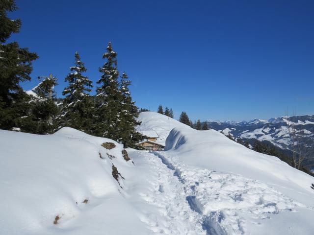 ...und schon stehen wir bei der Alpwirtschaft Halsegg 1320 m.ü.M.