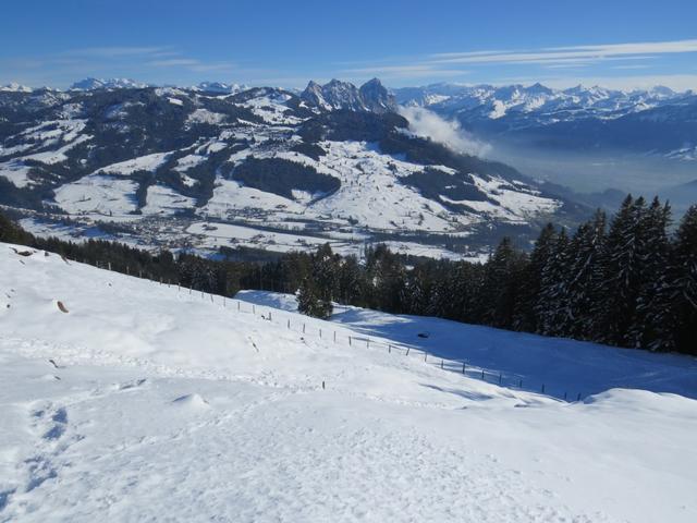 auf dem gleichen Weg...