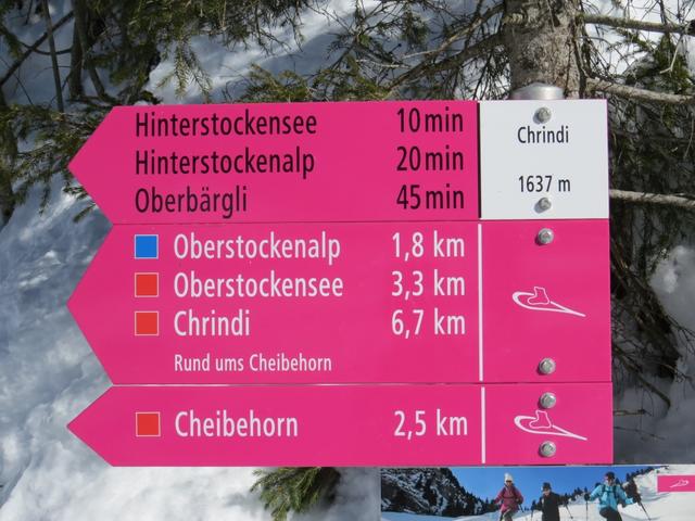 bei der Mittelstation Chrindi 1637 m.ü.M., nehmen wir den Schneeschuhtrail hinauf zum Cheibehorn unter die Füsse