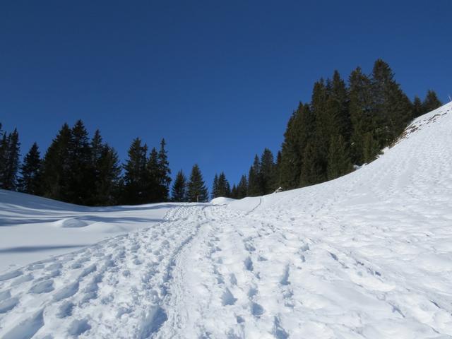 ...und wir erreichen die Weggabelung bei Punkt 1764 m.ü.M.