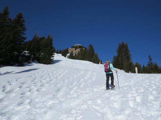 steil geht es weiter aufwärts. Hier hat es sich ausgezahlt früh zu starten. Der Schnee ist weiterhin gut