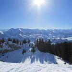 die Aussicht in die Berner Alpen wird immer schöner