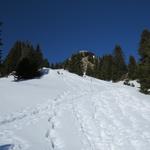 Blick hinauf zum Cheibehore. Mit den Schneeschuhen dort hinauf?