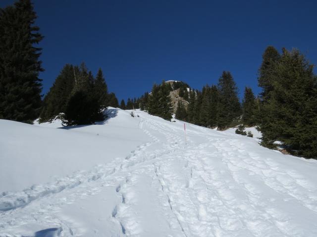 Blick hinauf zum Cheibehore. Mit den Schneeschuhen dort hinauf?