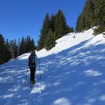 der Schneeschuhtrail führt jetzt einen kleinen Linksbogen durch...