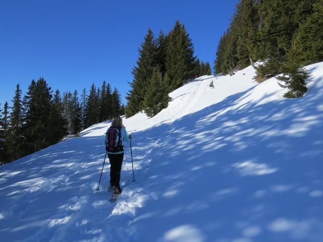 der Schneeschuhtrail führt jetzt einen kleinen Linksbogen durch...