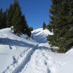 Schneeschuhwandern von feinsten