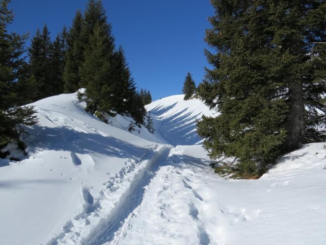 Schneeschuhwandern von feinsten