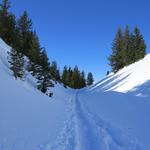 einfach eine traumhafte Gegend um mit den Schneeschuhen zu laufen