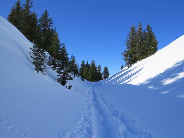 einfach eine traumhafte Gegend um mit den Schneeschuhen zu laufen