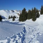 bei Punkt 1895 m.ü.M. wieder eine Weggabelung. Geradeaus geht es zum Oberstockensee