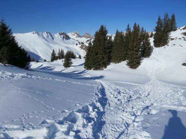 bei Punkt 1895 m.ü.M. wieder eine Weggabelung. Geradeaus geht es zum Oberstockensee