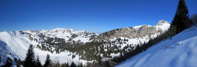 schönes Breitbildfoto mit Blick Richtung Oberstockensee