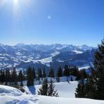 schönes Breitbildfoto mit Blick in die Berner Alpen