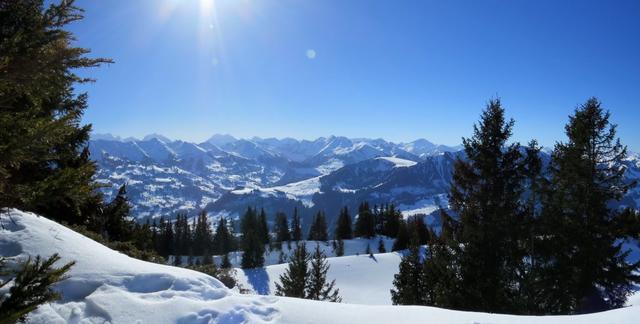 schönes Breitbildfoto mit Blick in die Berner Alpen