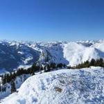 traumhaft schönes Breitbildfoto mit Blick ins Berner Oberland