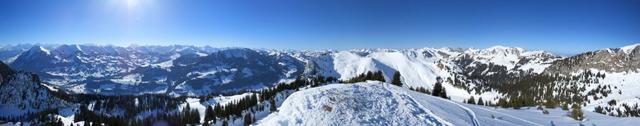 traumhaft schönes Breitbildfoto mit Blick ins Berner Oberland